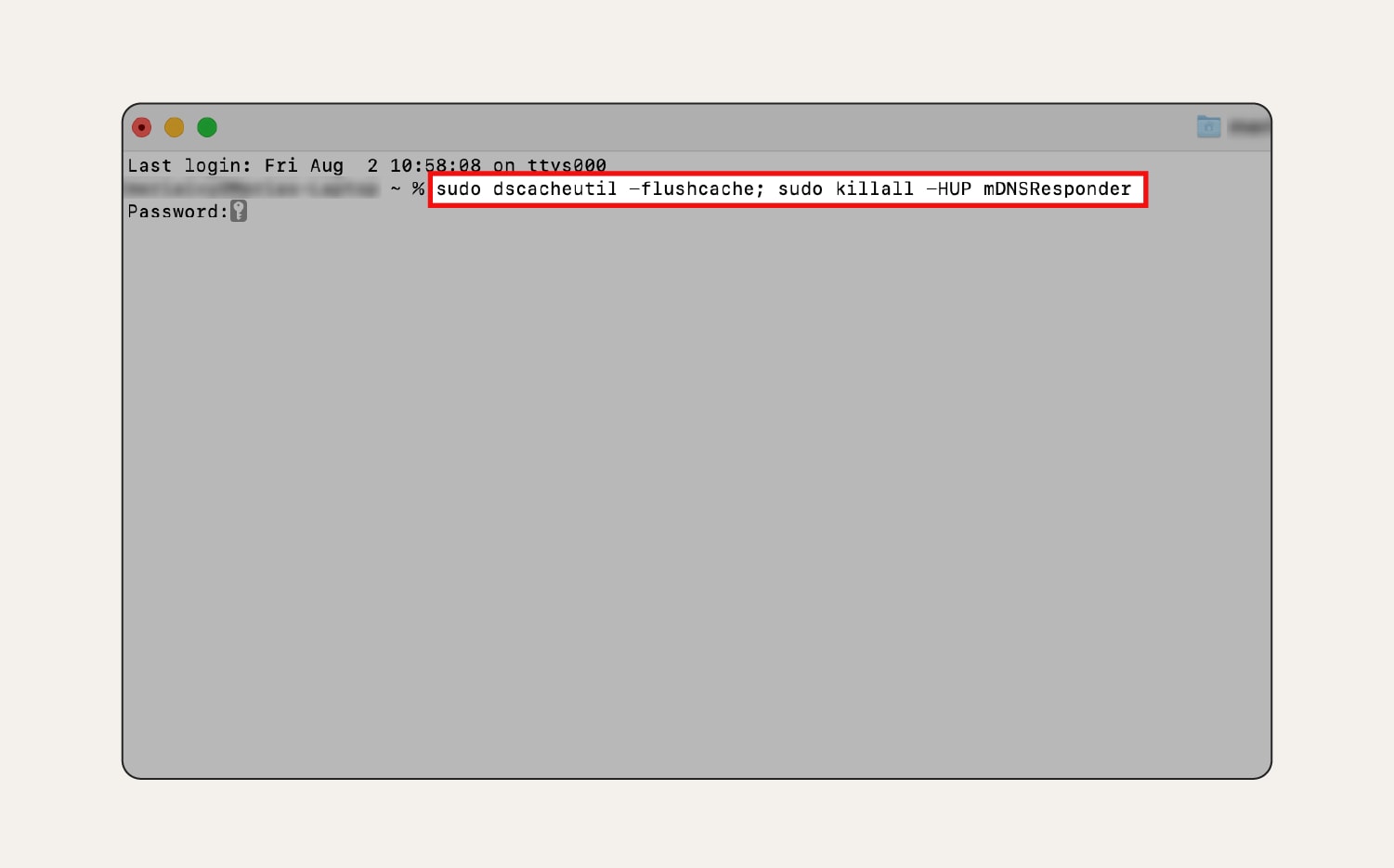 Screenshot: Im Terminal einzugebender Code zum Leeren des DNS-Cache auf dem Mac